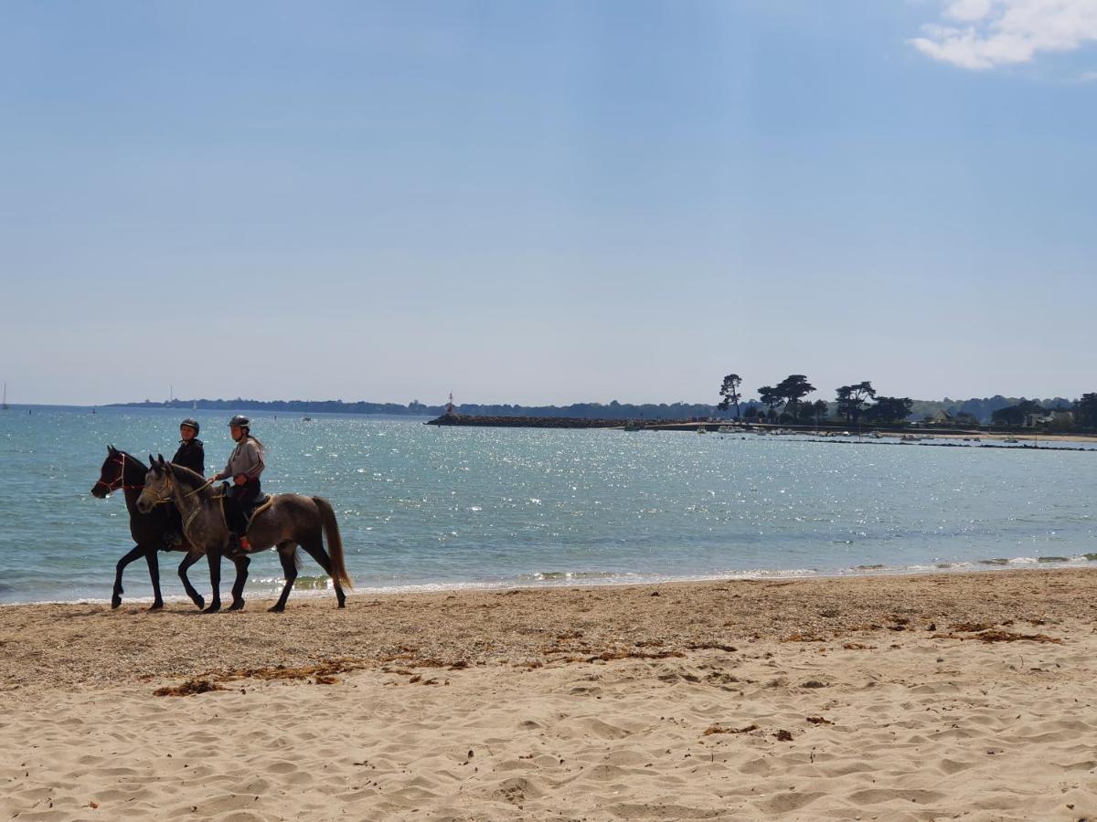 Vacances O Loch - Studio A 200 Metres De La Plage - Le Cap Coz פואסננט מראה חיצוני תמונה